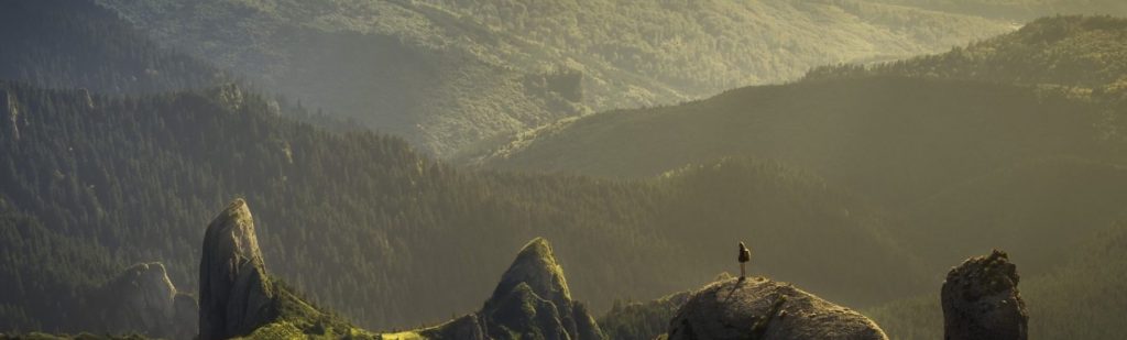 The Biointernet Expedition